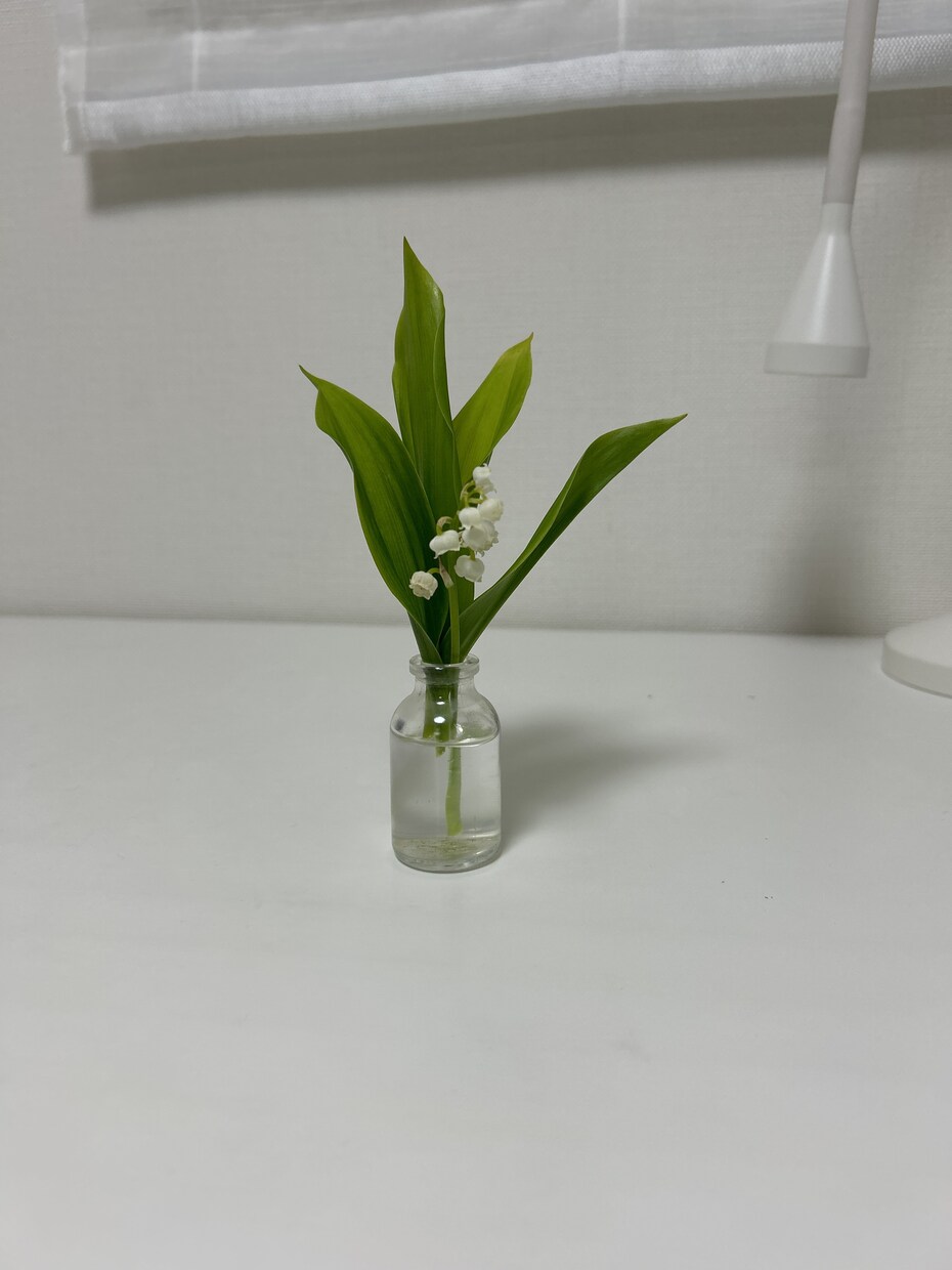 あなたのお話傾聴します ソーシャルワーカーです。私に愚痴等話してスッキリして下さい。 イメージ1