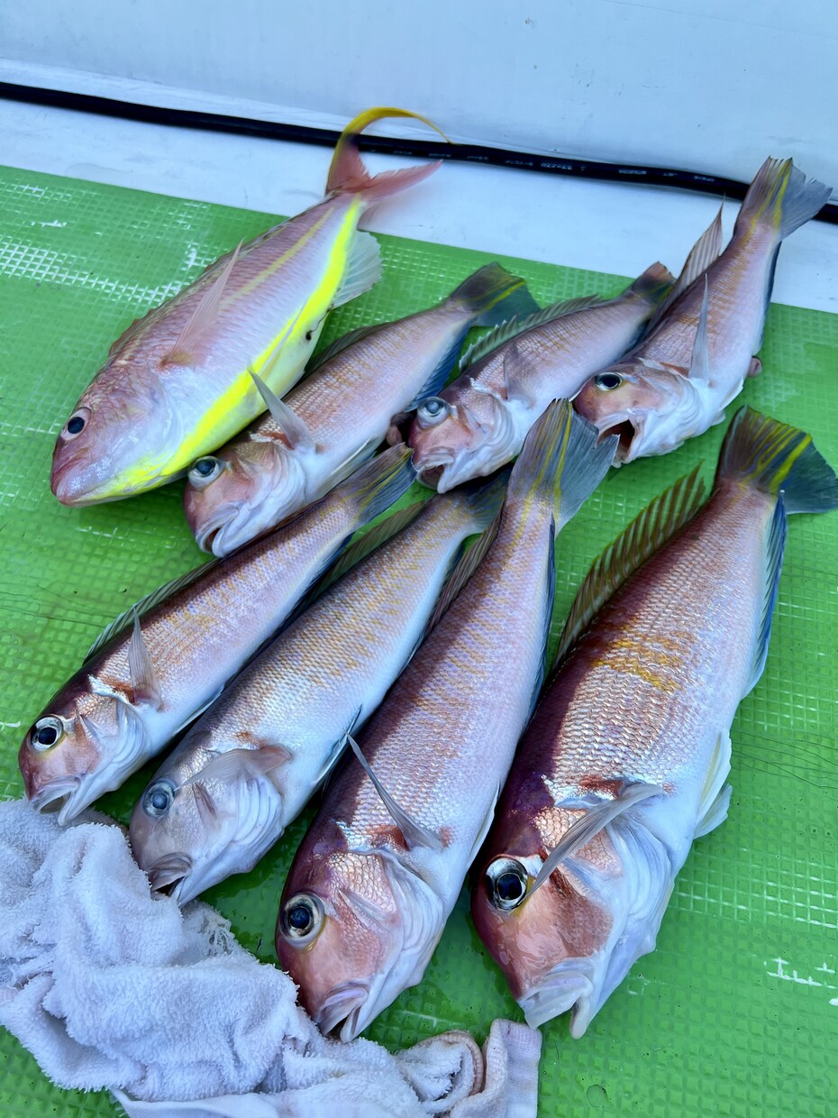 釣り初心者の「もっと釣りたい」悩みを解決します 釣り歴35年の釣りメディア編集長が相談に乗ります！ イメージ5