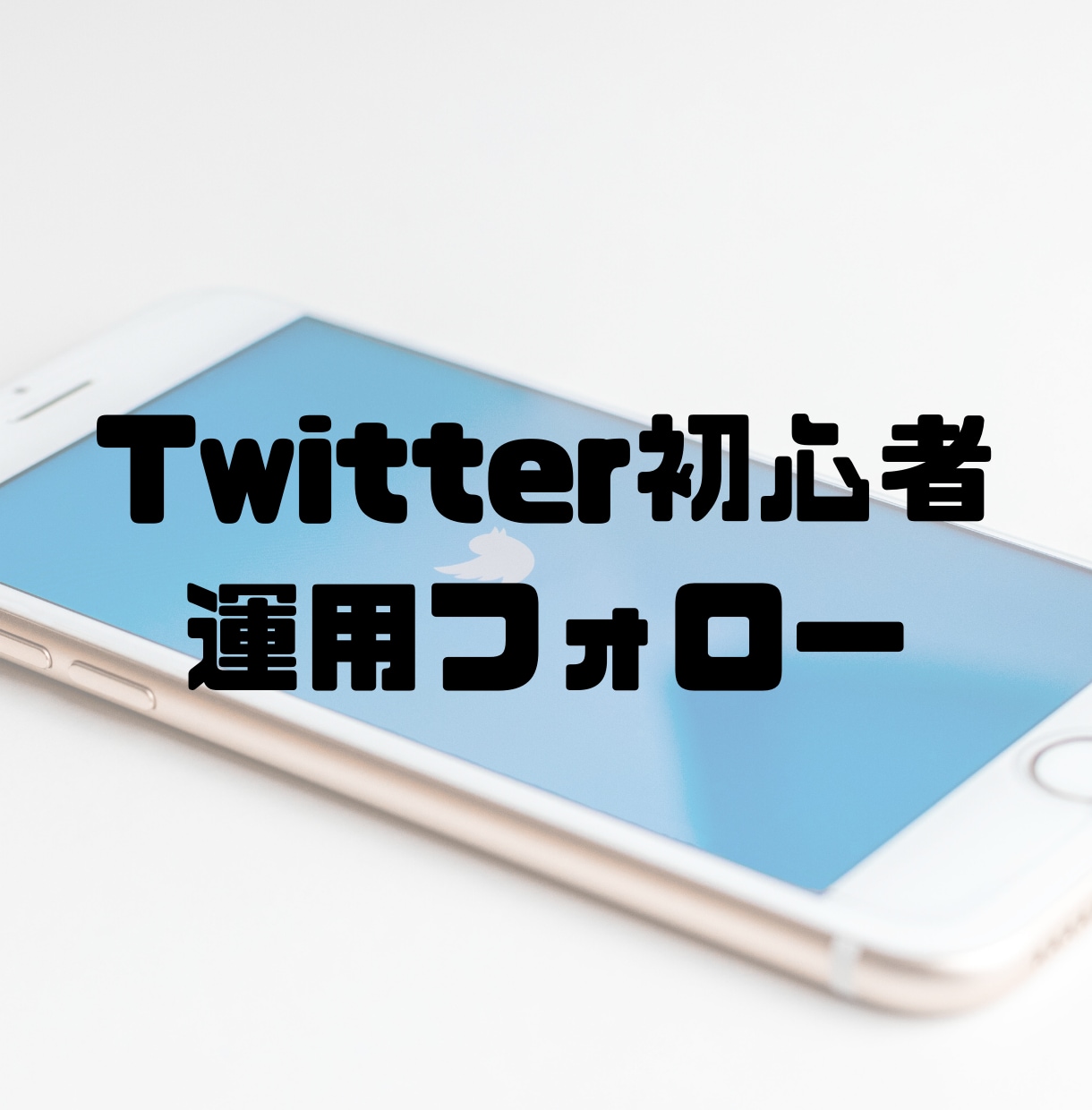 Twitter初心者の方１週間コンサルします Twitterの運用のポイントを分かりやすくお伝えします。 イメージ1