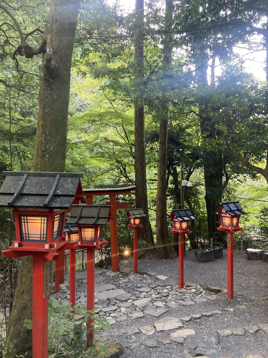 1.5ヶ月間の私のお弟子さん紬心と私が鑑定致します この度、特別わたしの弟子紬心（ツムナ）が私と隣で一緒に視ます イメージ3