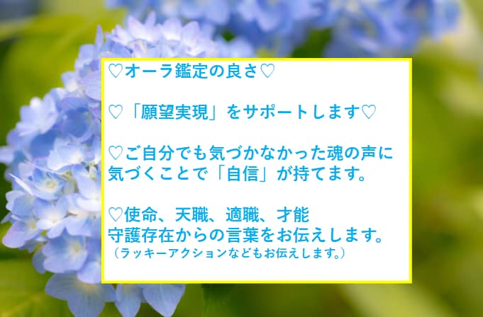 オーラ鑑定＆カラーセラピーで魂から幸せへと導きます ✨使命　天職　才能　守護の存在からの言葉をお伝えます✨ イメージ4