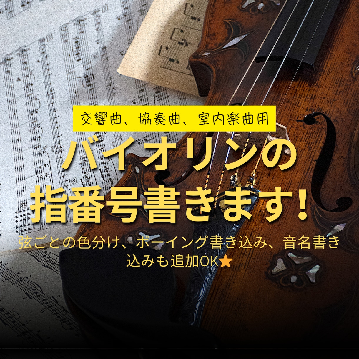 プロがバイオリン、ヴァイオリンの指番号書きます 皆さんの練習にお役立てください！(交響曲、協奏曲、室内楽曲) イメージ1