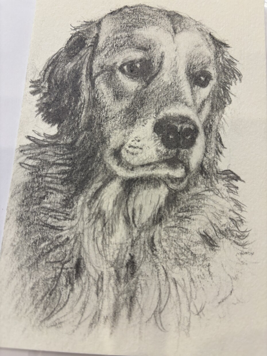ペットの似顔絵描きます 愛ペットの似顔絵いかがですか？原画お送ります！ イメージ2