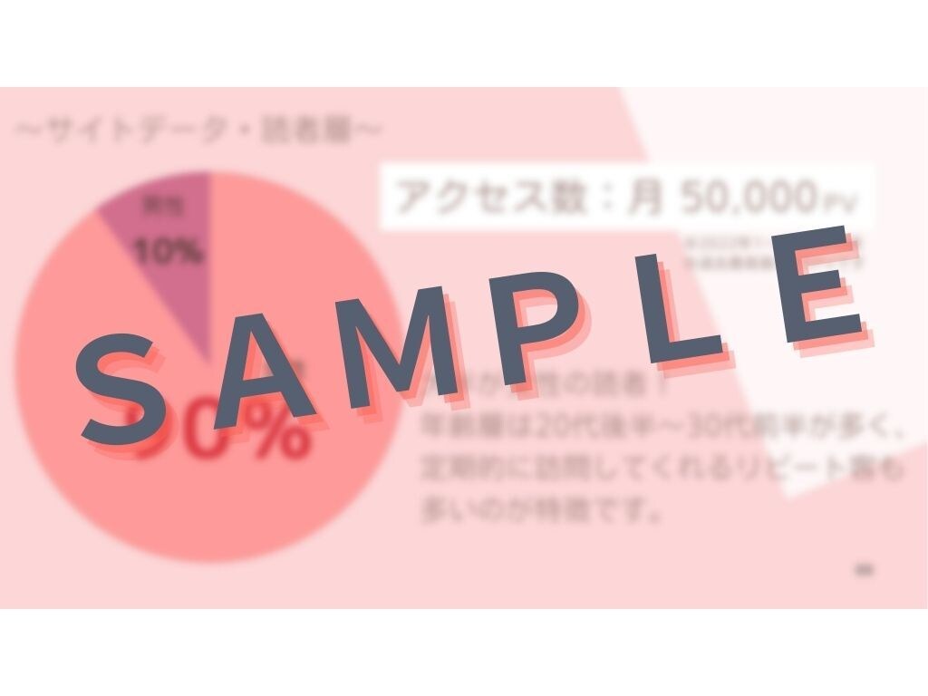 純広告獲得のための媒体資料テンプレートを販売します 面倒な資料作成を時短！Canvaで簡単カスタマイズできます イメージ5