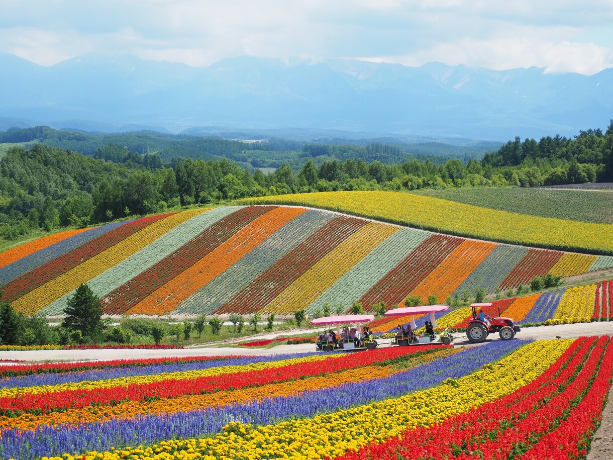 あなただけの特別な北海道旅行を約束します 〜全市町村制覇した旅好きに旅行プランを作らせてください〜 イメージ1