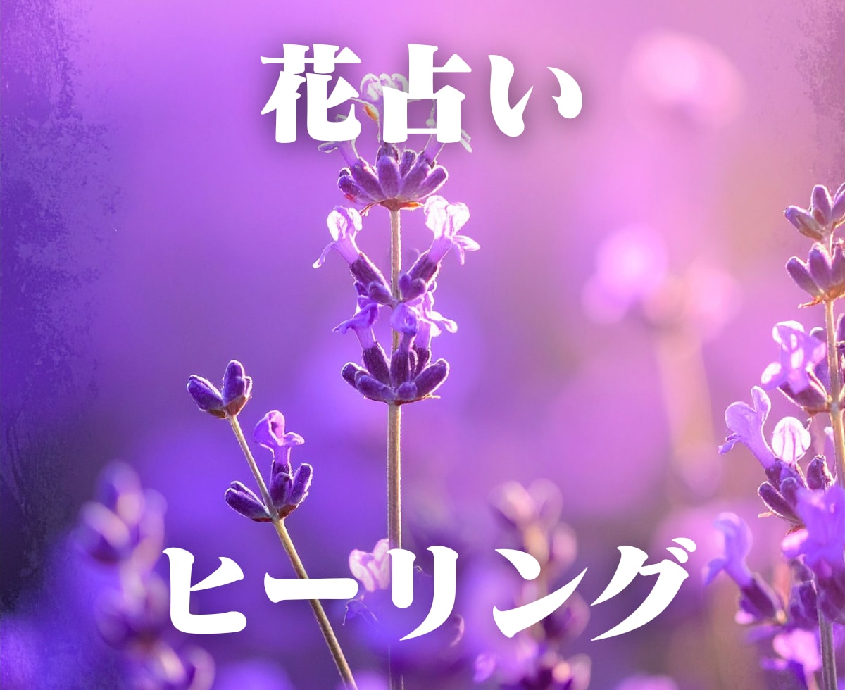 心に寄り添う一輪。あなたを支える花と言葉を届けます 【7・8月限定｜特別価格 3000円→2000円】 イメージ1