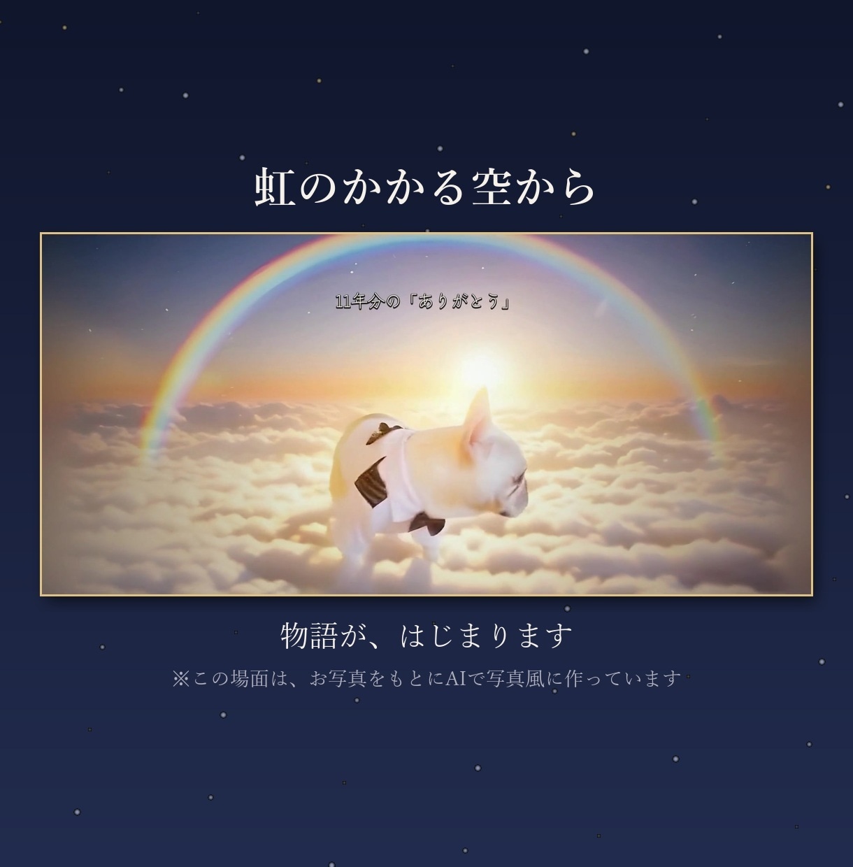 虹の橋の子へ｜ペット追悼メモリアルムービー作ります 写真45枚・約4分・オリジナル曲｜四十九日や一周忌に イメージ2