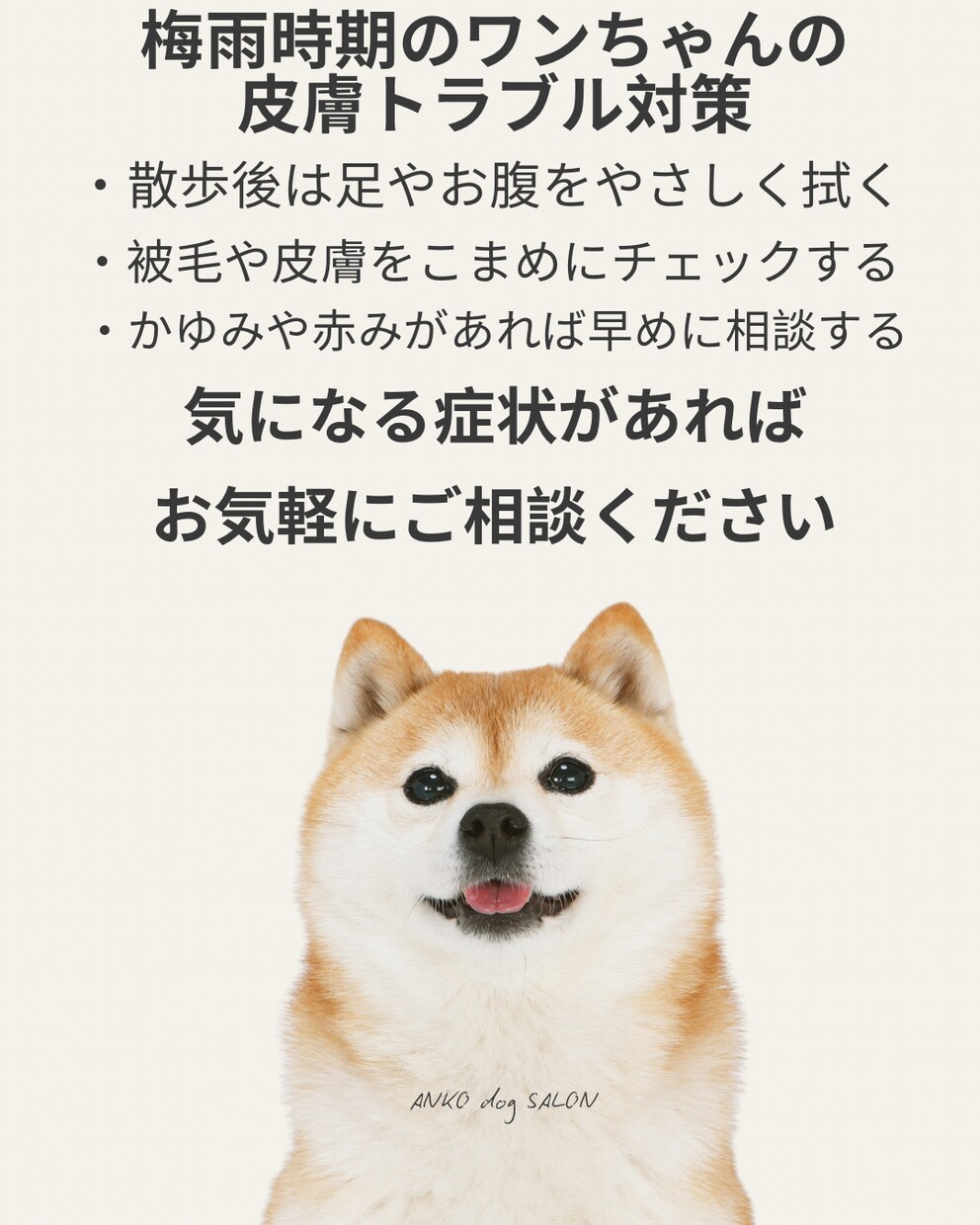SNS投稿画像をデザインしますます ご希望に寄り添い伝わる形に仕上げます イメージ3