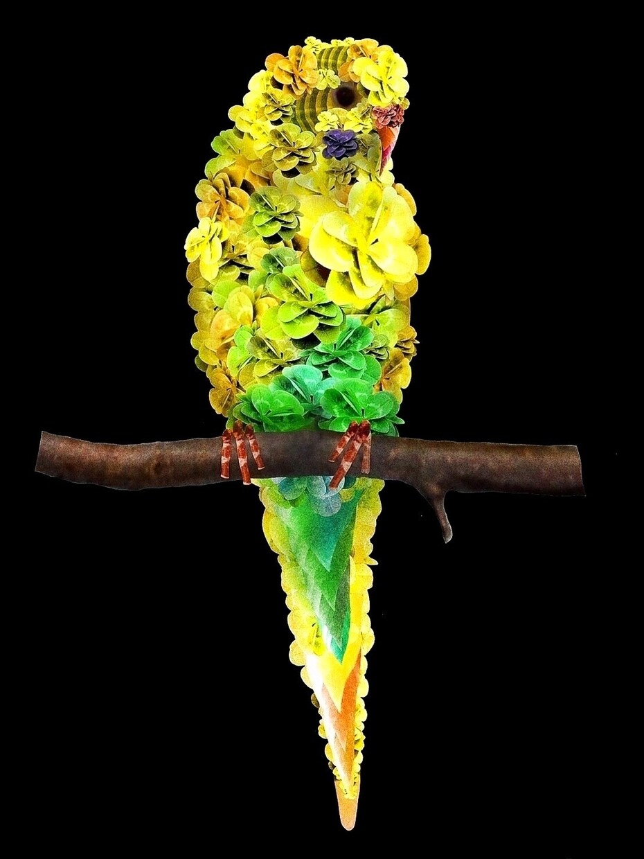 動物似顔絵を植物（花や葉っぱ）で表現します 植物写真コラージュでペットを『ナチュラルアニマル』アートに！ イメージ6