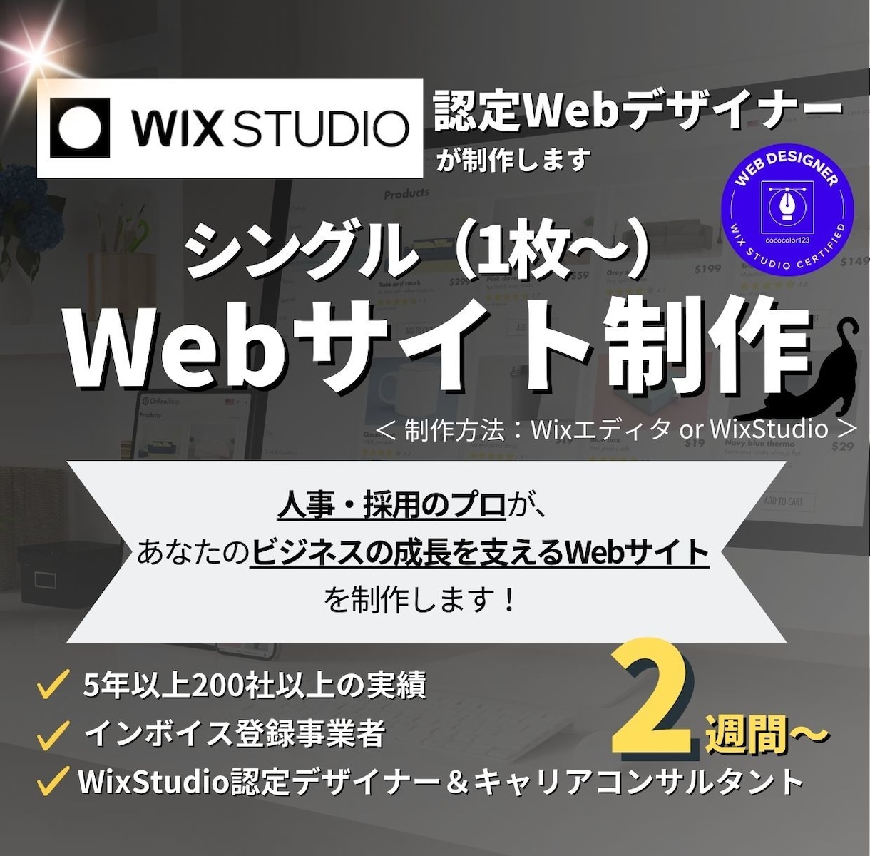 Wix＆Wix Studio｜1枚〜HP制作します 人事・採用のプロが「あなたオンリーのサイト」を制作します イメージ1