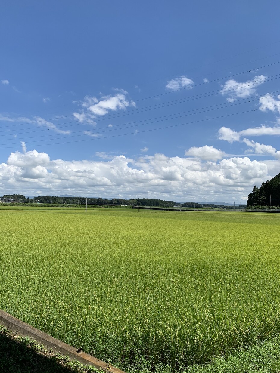 ご家族、当事者からのいじめ精神疾患の相談承ります 笑顔の日々を取り戻す為に、僕もお手伝いさせて頂きます イメージ1