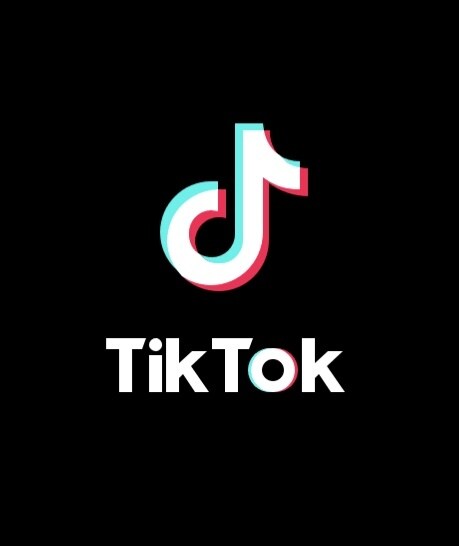 tiktokで再生回数を増やします tiktokで有名になり集客したい。 イメージ1