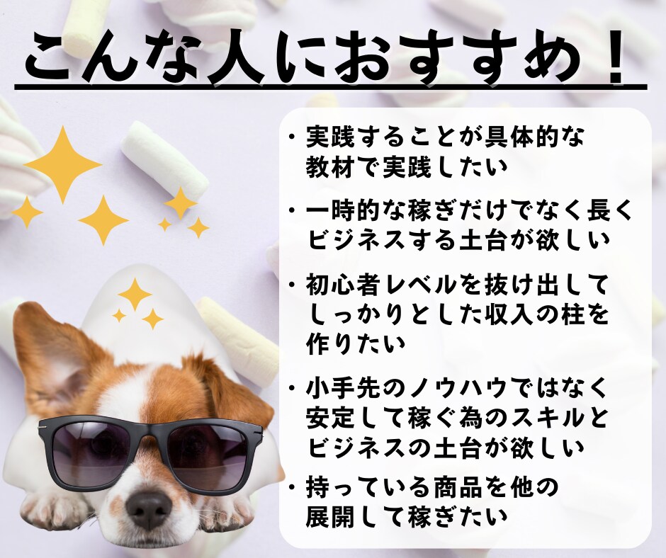 なかなか結果が出ない初心者を救うAI副業教えます ChatGPTを活用し時間が無くでもサクッとできるスキマ副業 イメージ5