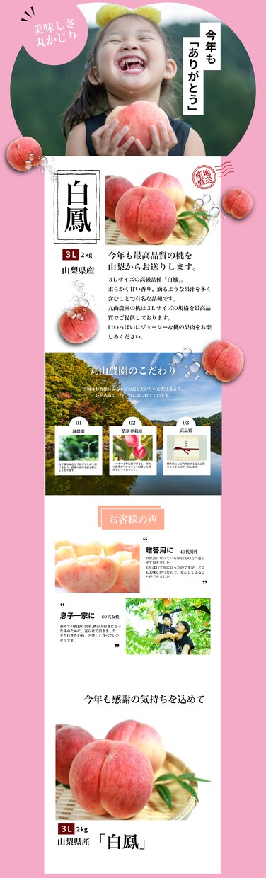 現役WEBデザイナーがLP制作いたします 【売り上げUP】現役デザイナーがご提案 イメージ2