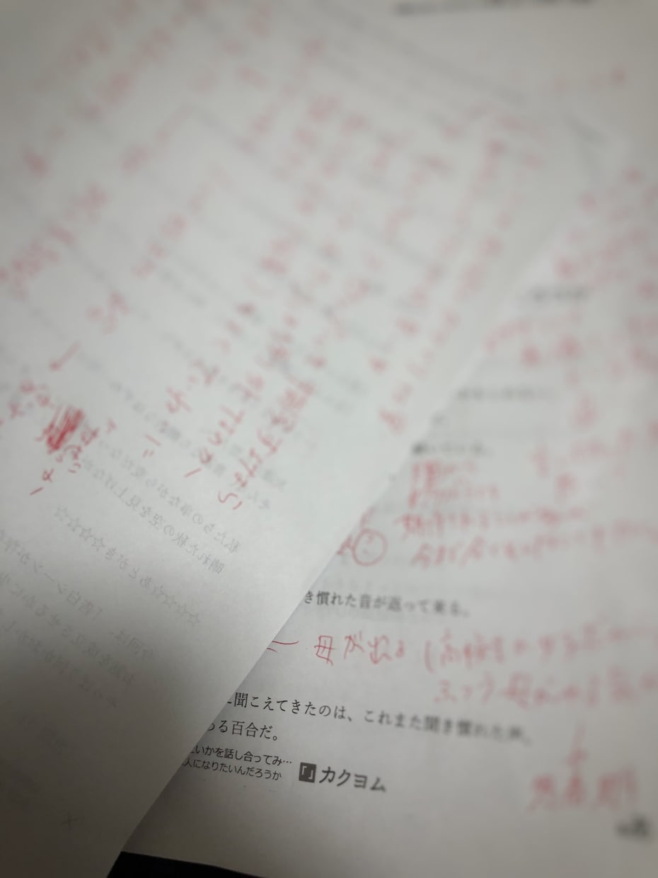 同人誌編集のプロが萌えを追求した編集＆添削をします 一次二次創作・小説漫画不問！熱血同人誌編集プロの創作サポート イメージ3