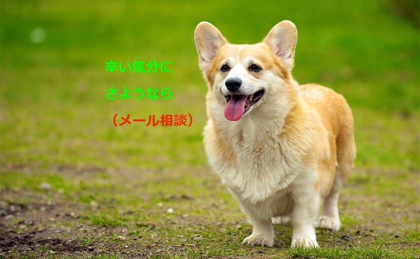 心理カウンセラーが思考の癖を修正！気分を楽にします チャット〈辛い気分から、早く抜け出したい方へ⭐️〉 イメージ2