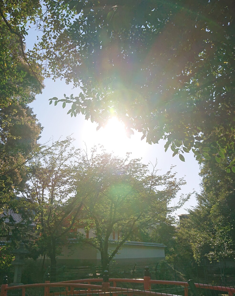 ひと言ガチャガチャお届けします ○お仕事編○遊び感覚でお試しください◎ イメージ1