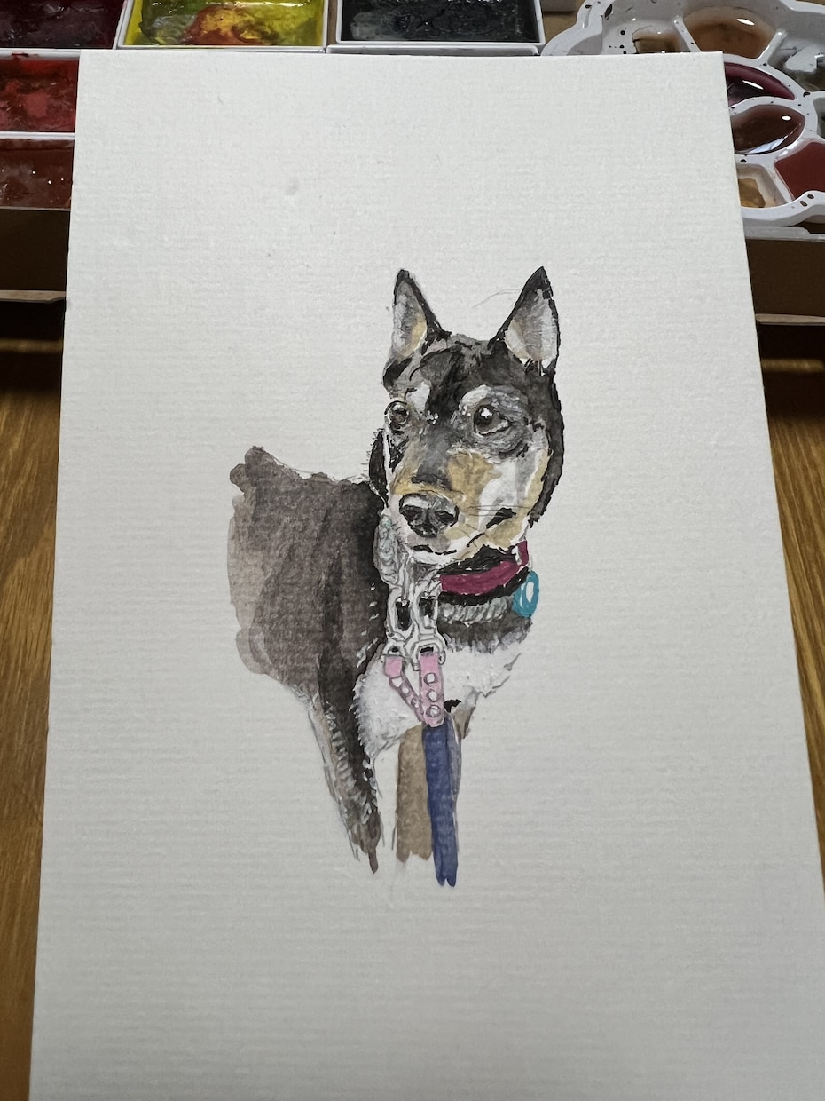 犬や猫の絵を描きます 画像からえんぴつや顔彩で絵を描きます。 イメージ7