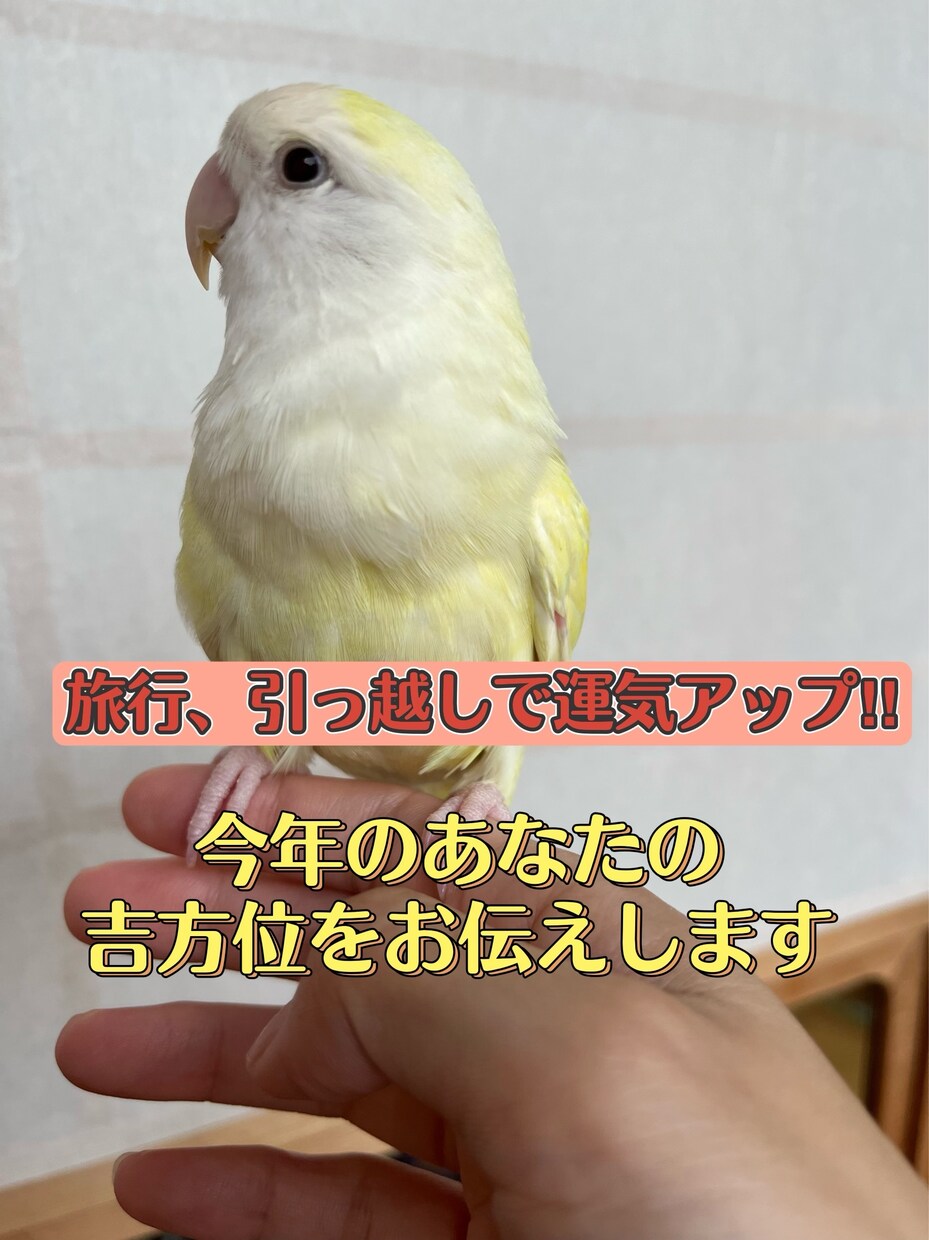 今年のあなたの吉方位を占います 旅行、引っ越しで運気アップ！今年の吉方位をお伝えします。 イメージ1