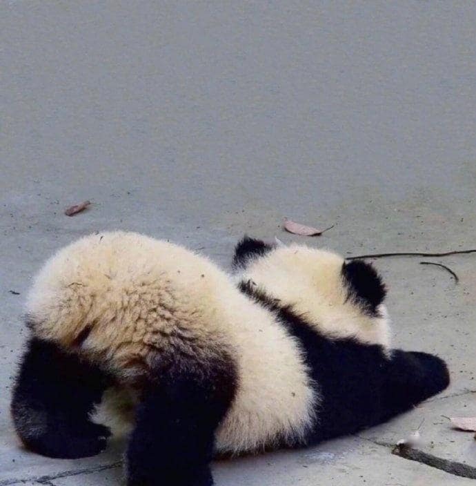 継続者さま専用)会話や文法、幅広く中国語を学べます お一人おひとりに合わせた中国語レッスン イメージ4