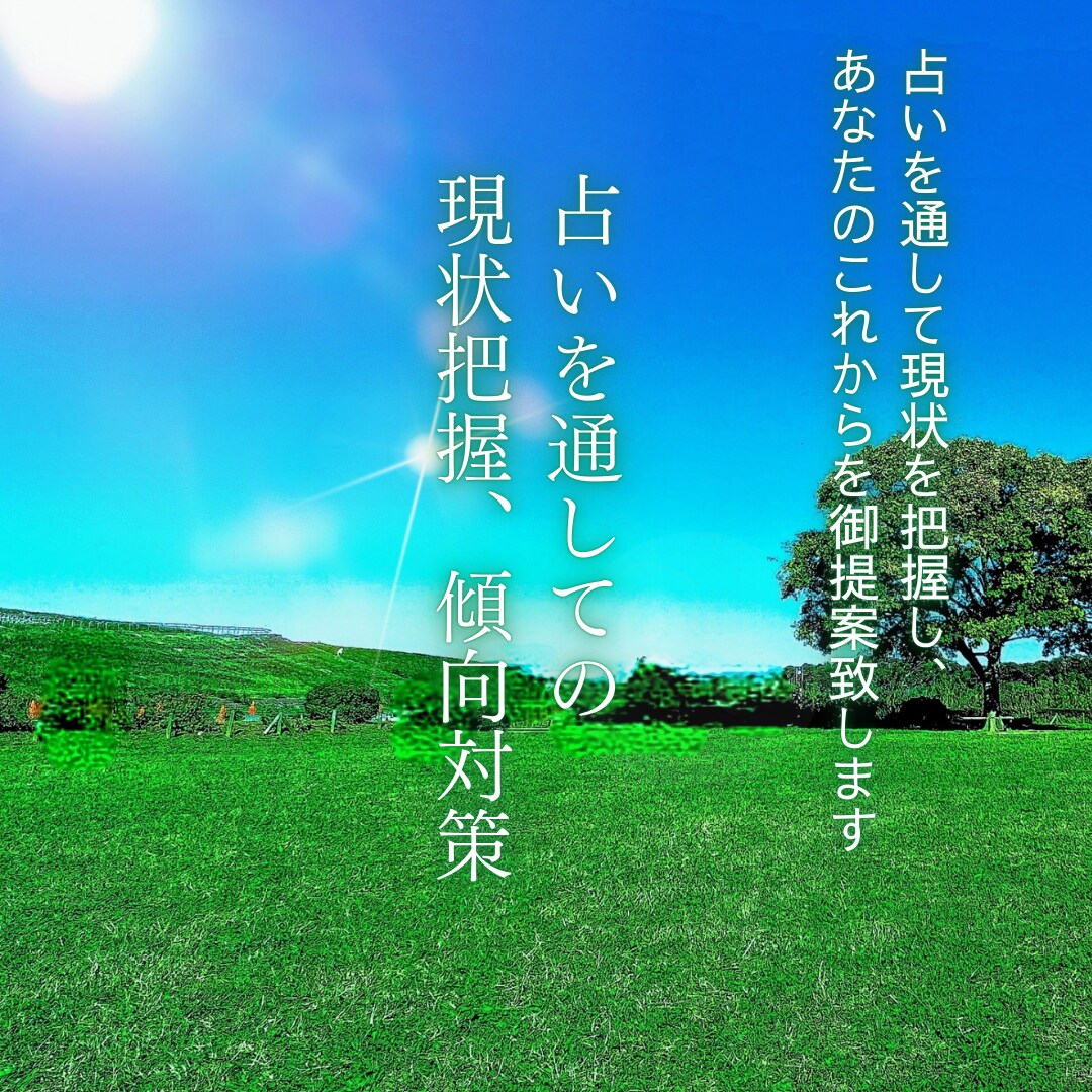 占いを通しての現状把握、傾向と対策を提案します 占いを通して現状を把握し、これからのことを提案します イメージ1