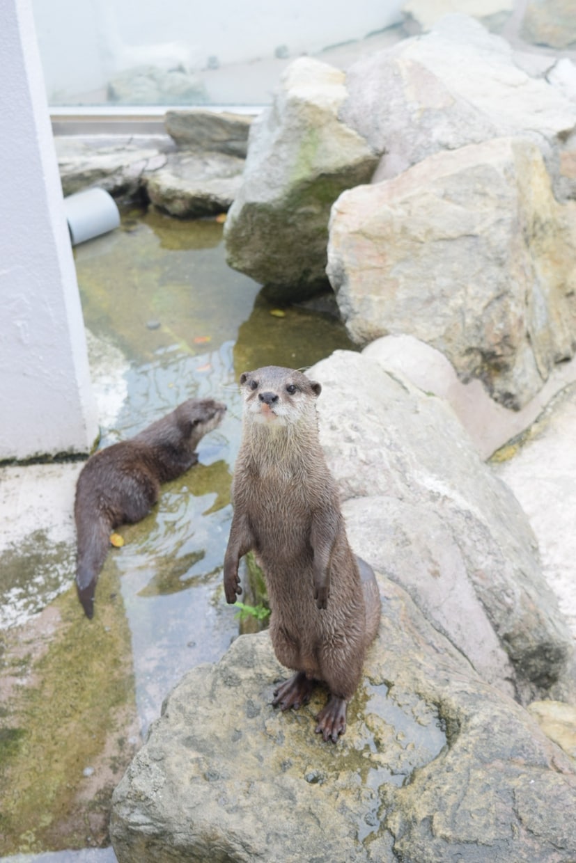 写真素材提供します 風景や動物などの写真素材に困っている方へ イメージ9