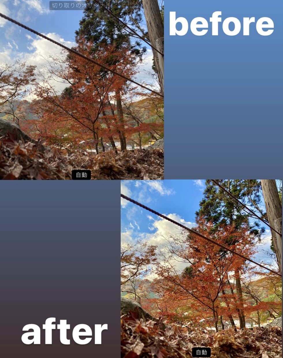 お洒落に可愛く写真加工致します プリクラのような顔加工!!映える!!!背景、フィルター加工 イメージ2