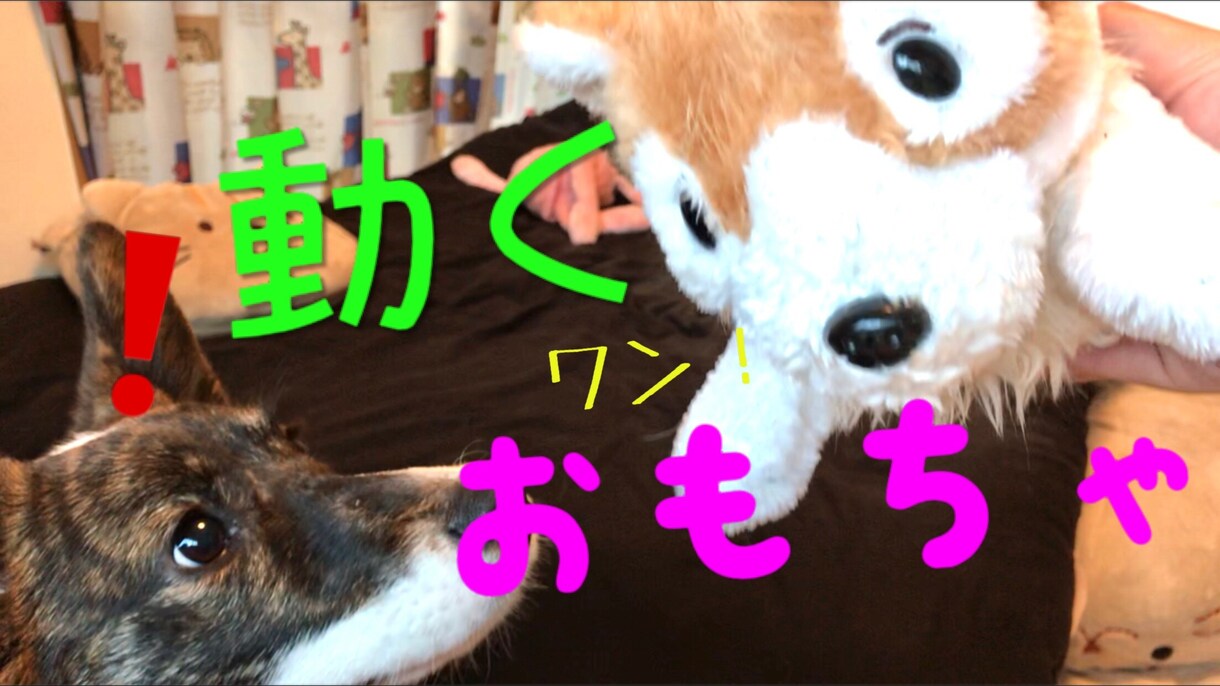 5分程度動画！YouTube動画編集します 編集、テロップ、サムネイル作成お任せください！ イメージ1