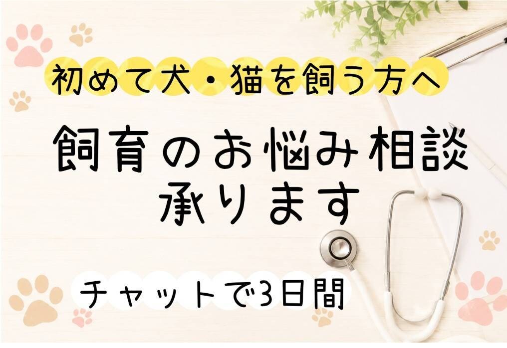 初めての犬猫飼育についてご相談承ります 動物病院勤務10年の経験をもとにお答えします イメージ1