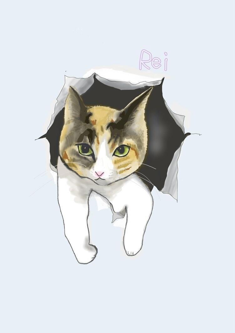 あなたの大切なペットの絵を描きます どんな動物もお描きいたします♡ご相談ください♡ イメージ4