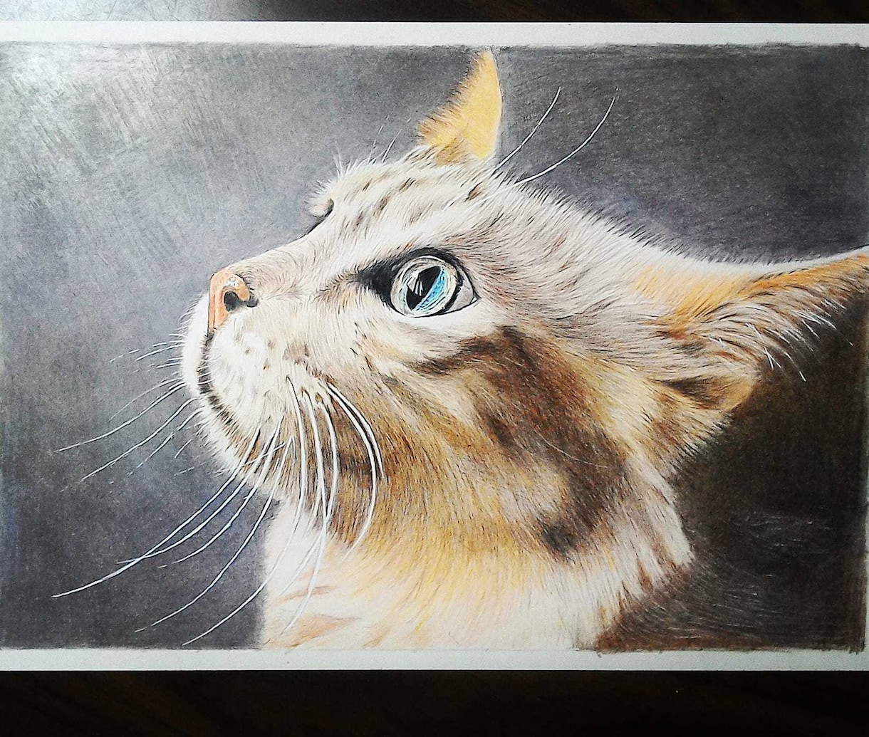 写真をもとにペットの似顔絵描きます 犬、猫、小鳥、人物など、そのほか何でも描きます。 イメージ6