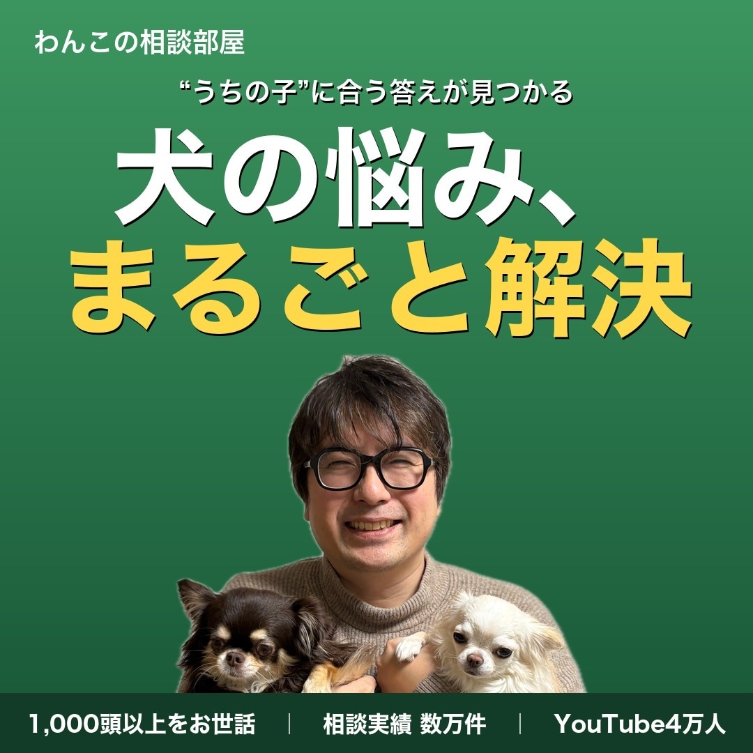 犬の悩み解決｜数万件に答えた犬のプロが整理します しつけ・無駄吠え・お手入れ・ごはん、犬の悩みを解決します。 イメージ1