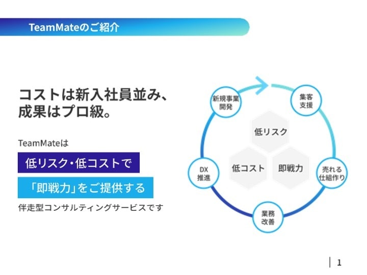 経験豊富なコンサルが企業運営を包括サポートします 低リスク・低コスト、伴走型コンサルティングで包括サポート イメージ2
