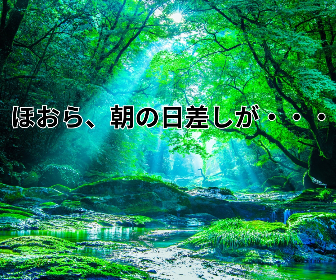 辛い・絶望・消えてしまいたい⭐️経験者が受止めます 苦しい/不安/崩れそうなあなたの心✅優しくそっと寄り添います イメージ8