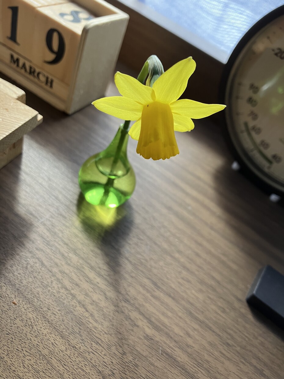 暗くなってしまう事柄。誰にも話せない愚痴聞きます コールセンター数年で得た傾聴力で、癒させてください イメージ1