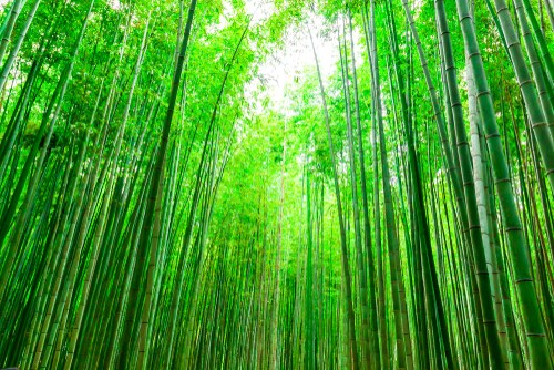悩み相談、恋愛相談など全てに対応します あなたのモヤモヤとした心に余裕をあたえます。 イメージ3