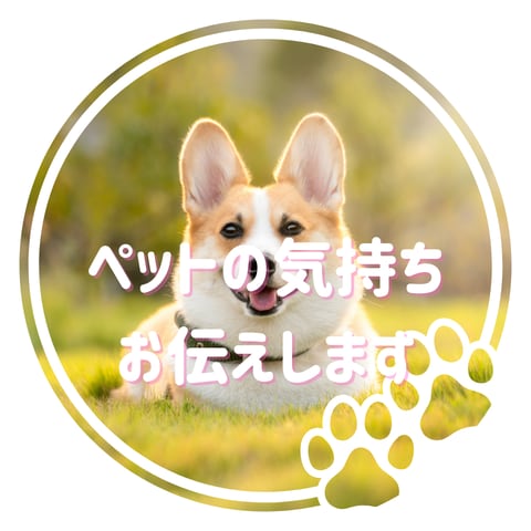大切なペットの気持ちを読み解きます 飼い主さんに伝わらない想い、代わりに届けます！ イメージ1