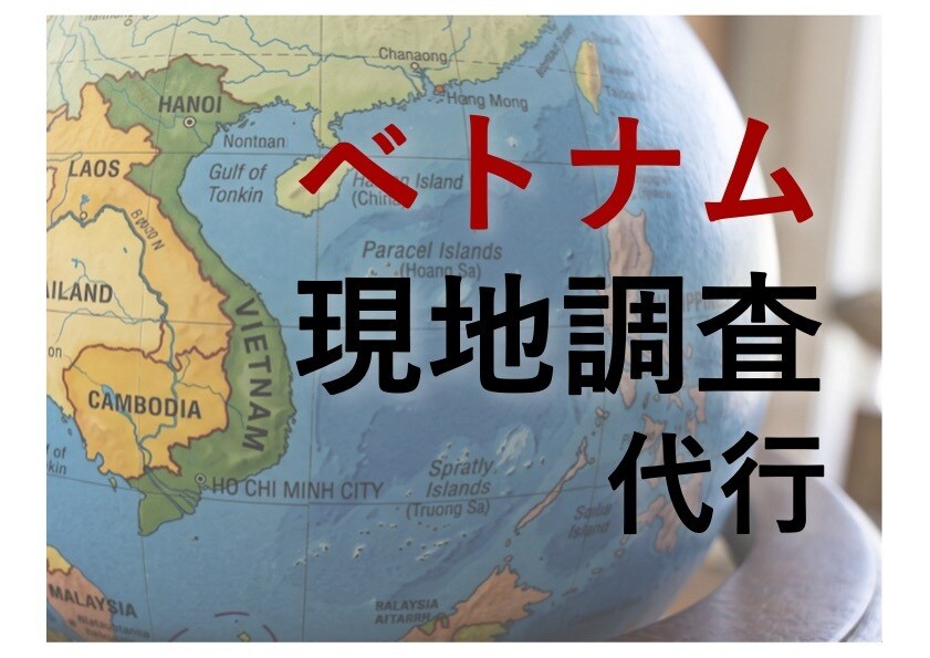 ベトナム現地調査を専門家が代行します ベトナム在住歴10年・現地取材に基づくリアルなレポート イメージ1