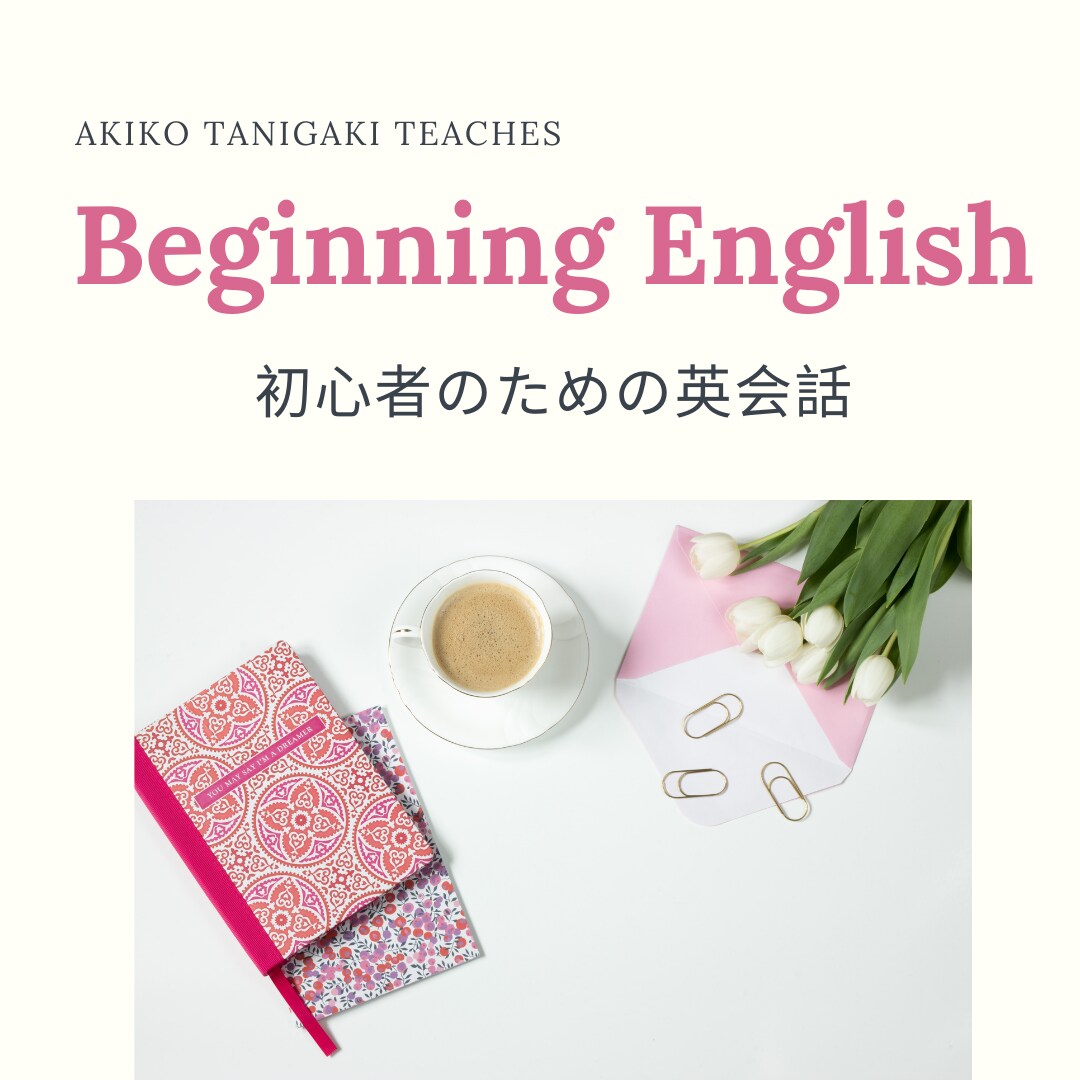 初心者のためのオンライン英会話レッスンをします フレッシュな気持ちで、基礎の基礎から英語を学びませんか。 イメージ1