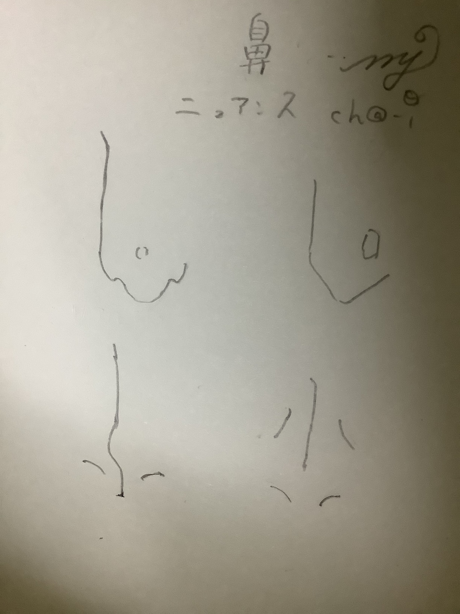 顔の全角度主に鼻のデザインをします 月額２５0００円ーで使える様にします！ イメージ2
