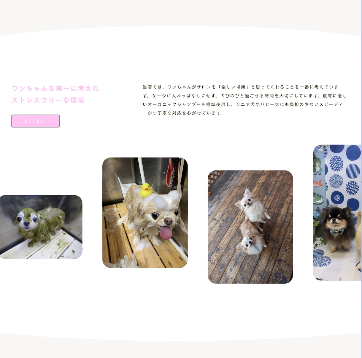 高品質、修正回数無制限でHP制作いたします デザイン制作／データ納品/高品質/お気軽にご相談ください♪ イメージ7