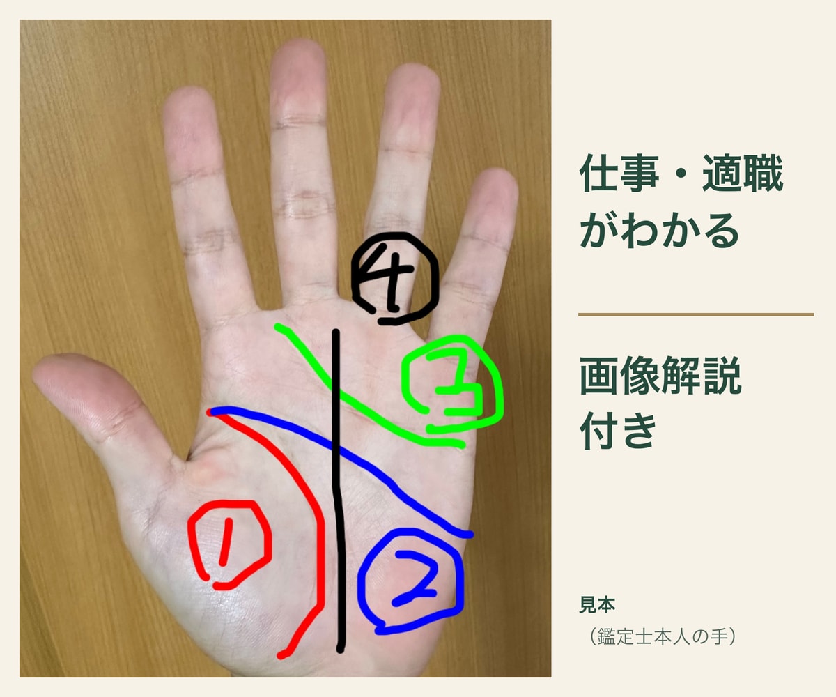 画像解説付き｜手相で適職と仕事の強みを読み解きます 向いている仕事・力が出る場面を、線ごとに解説 イメージ1