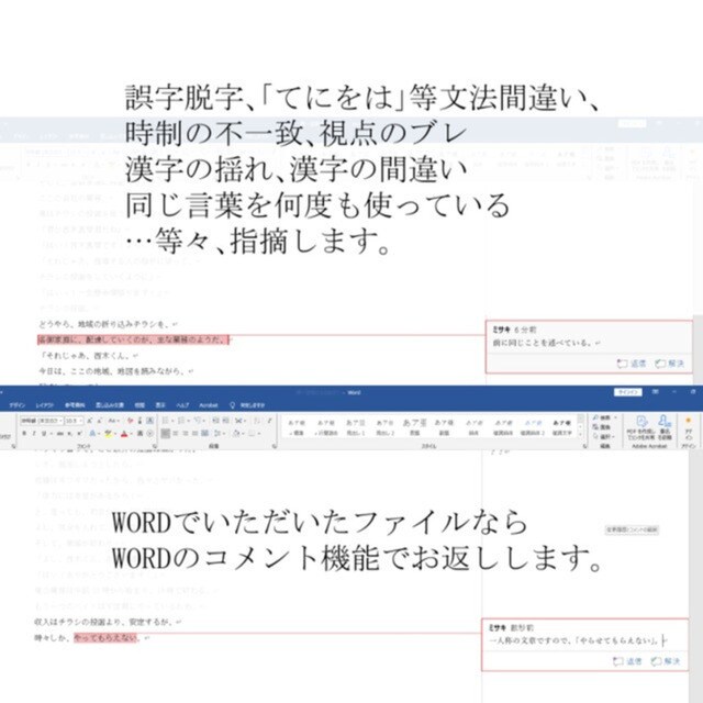 有資格者オタクが校閲・アドバイスします 一次二次ジャンル問わず、同人誌、Web掲載に イメージ5