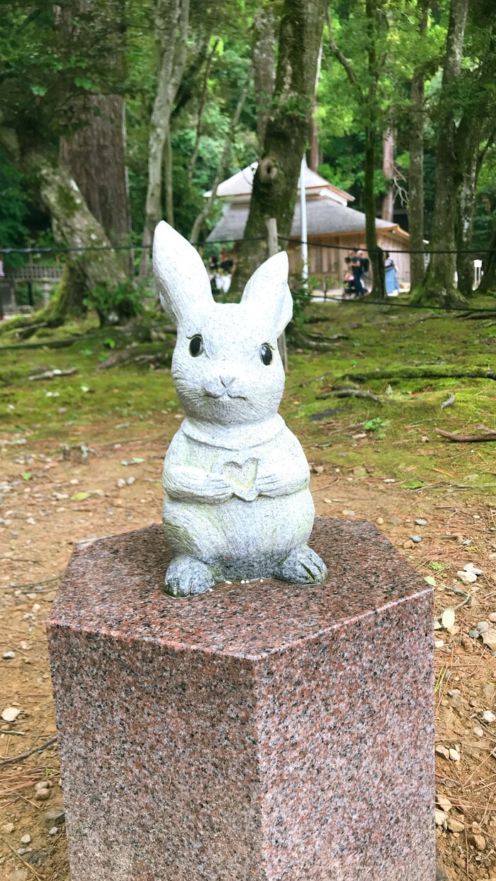 1コイン２日間！恋愛、友達…お悩みのご相談のります 友達感覚でお話しください＾＾一生懸命聞かせていただきます！ イメージ1