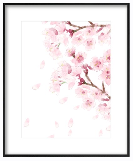 桜のイラストを描きます 想いが咲く、桜の一枚をお手元に イメージ7