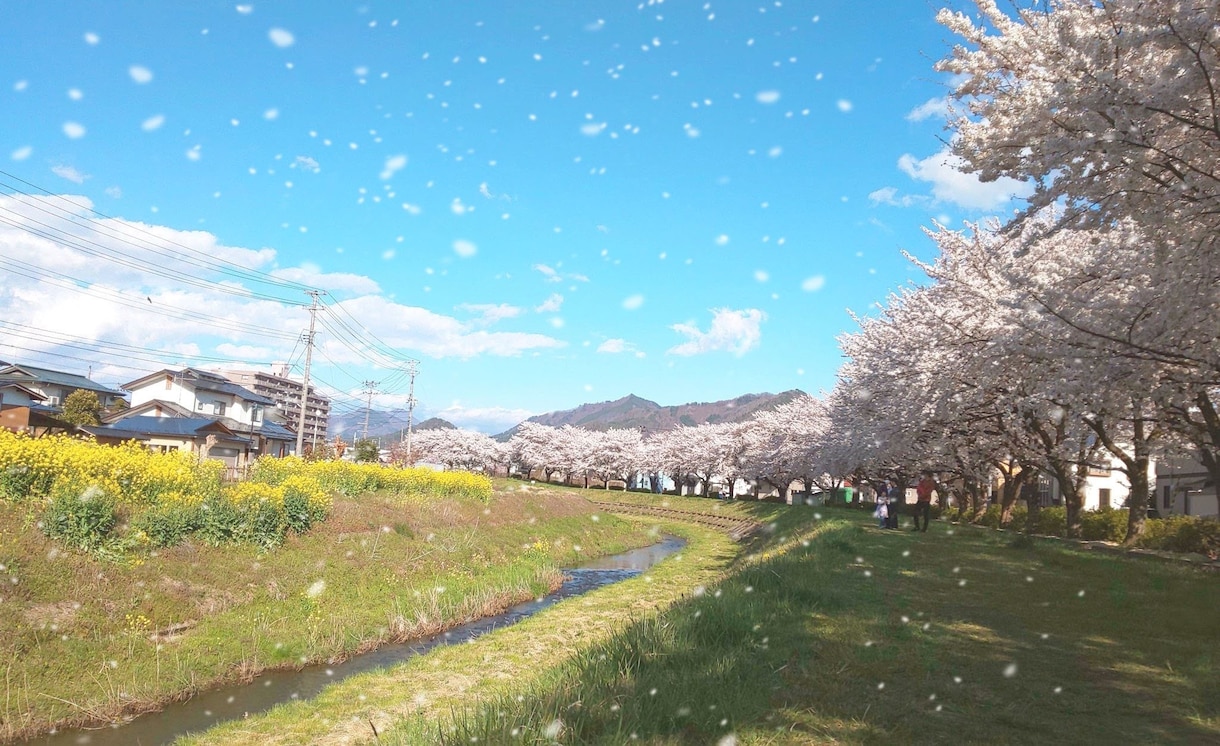 あなたの写真を綺麗に編集します 特別な1枚を作ろう！写真加工でひと味違う写真をお届けします イメージ10