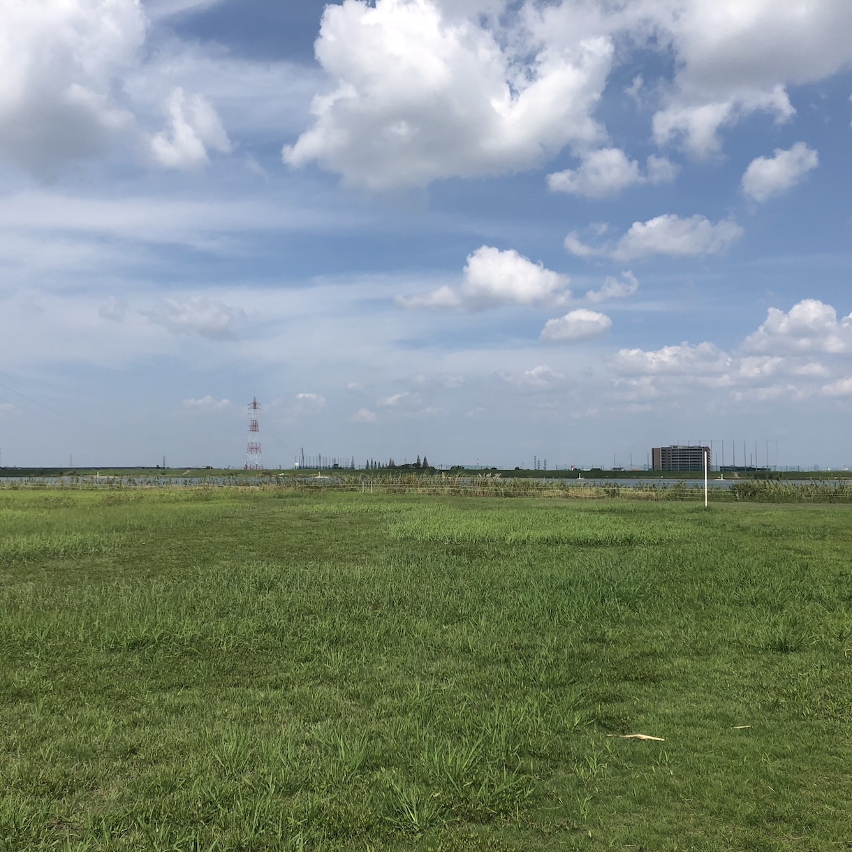 若い子の気持ちが分からないを解決します 恋愛、仕事、人間関係、など相談に乗ります イメージ1