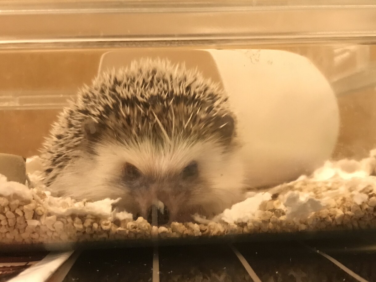 お話し相手にならさせていただきます ☆愚痴でも相談でも何気ない会話なんでもどうぞ♪ イメージ1