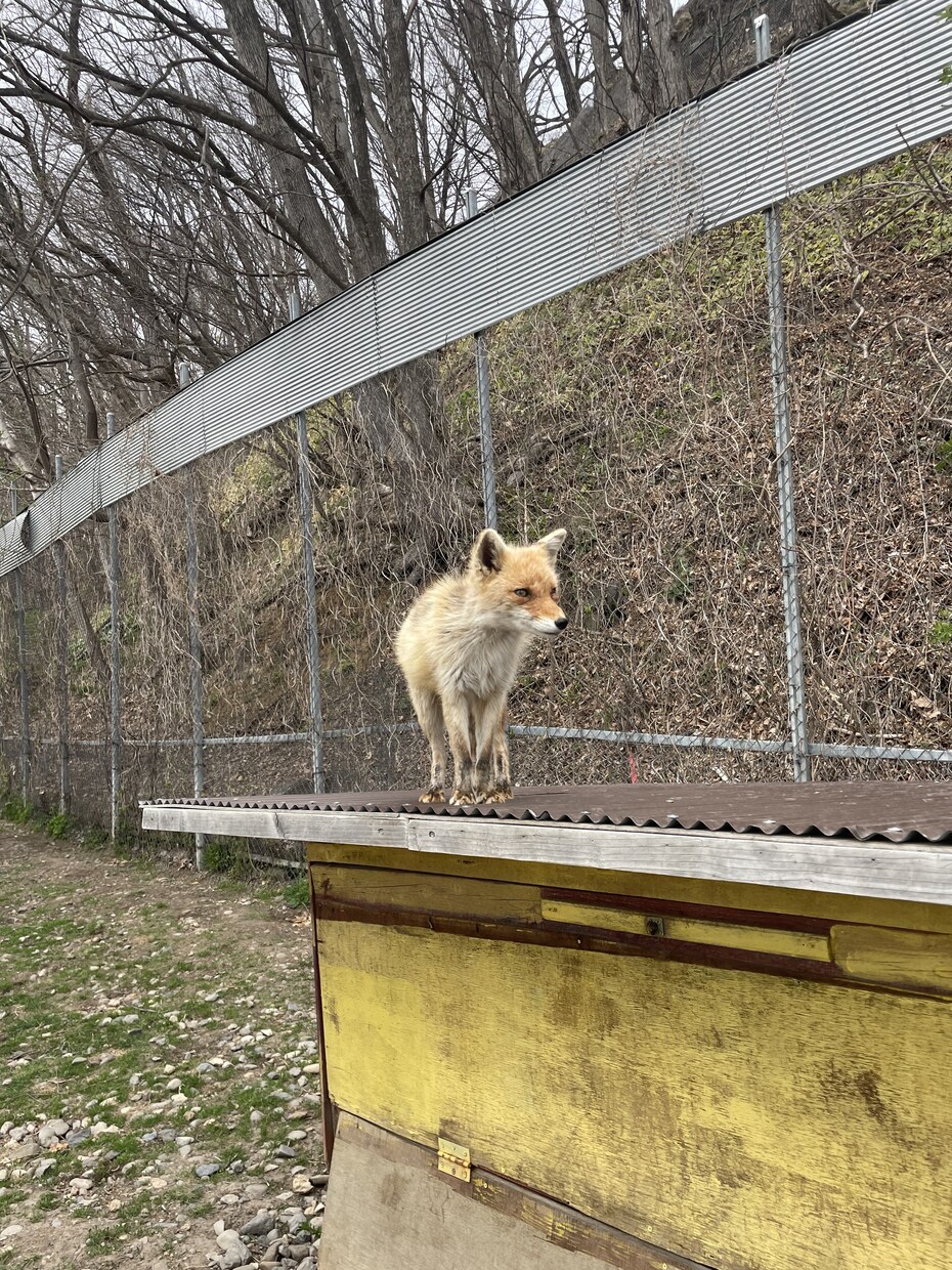 北海道旅行のプラン提案します 札幌在住者が地元の人が通うスポットや話題の場所をお伝えします イメージ8