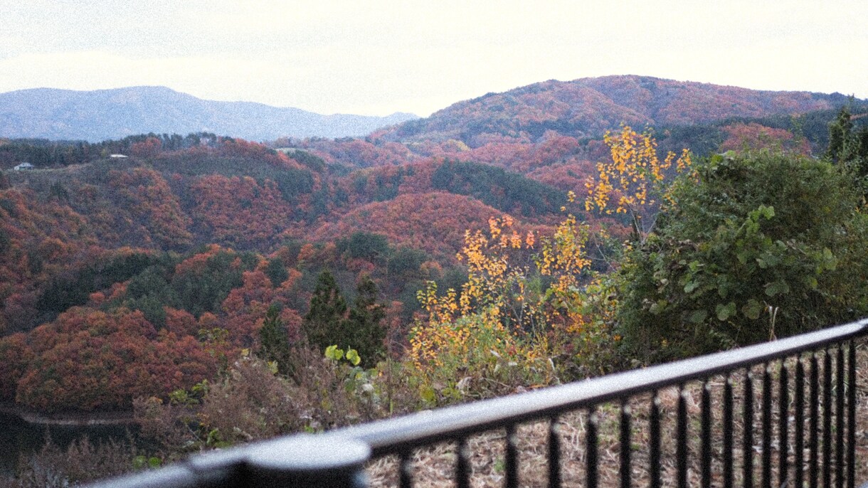 素材としての写真をご提供いたします 四季や風景の素材を探している方にぴったりな写真です。 イメージ8